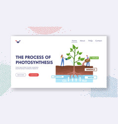 Photosynthesis Process Landing Page Template Tiny