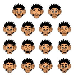 Monkey Face Expressions