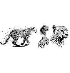 Cheetah Silhouette Shape