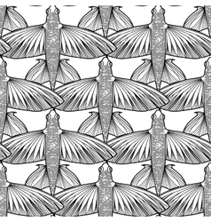Graphic flying fish collection Royalty Free Vector Image