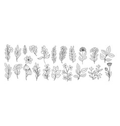 Set Of Tiny Wild Flowers And Plant Line Art