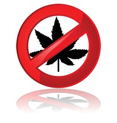 No Cannabis