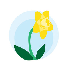 Wild Daffodil On Sky Background - Flat