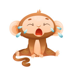 Funny Brown Monkey With Prehensile Tail Sitting