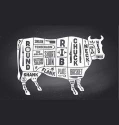 Cow Beef Scheme Diagram Chart Pork Butcher