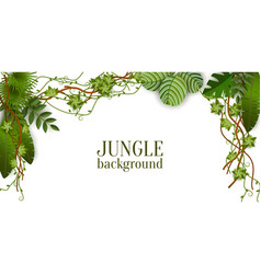 Green Jungle Plants Background Hanging From Above