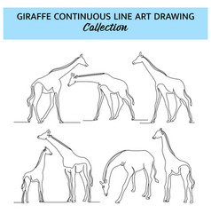 Set Of Giraffe Line Design Wildlife Decorative