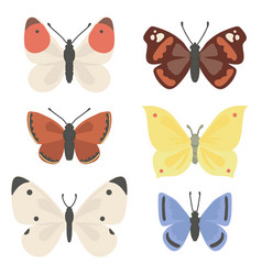 Drawing Set Of Butterflies