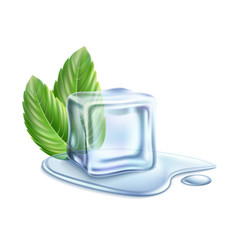 Realistic Ice Cube With Mint Green Leaves