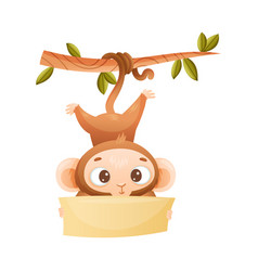 Funny Brown Monkey With Prehensile Tail Hanging