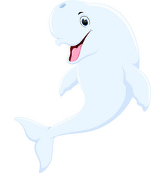 Cartoon Beluga Whale Isolated On White Background