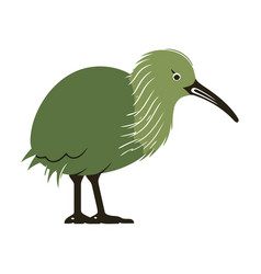 Cute Cartoon Kiwi Bird