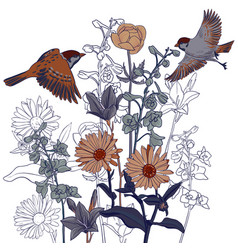 Drawing Flowers And Birds