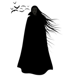 Woman Silhouette With Long Hair Blowing