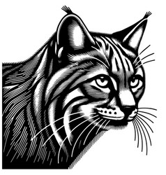 Sleek European Wildcat Portrayed In Modern Line Ar