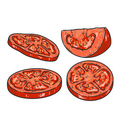 Sliced Tomato Stickers Colorful Set