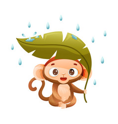 Funny Brown Monkey With Prehensile Tail Sitting