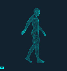 Walking Man 3d Human Body Model Geometric Design