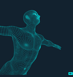 3d Model Of Man Human Body Wire Model Design