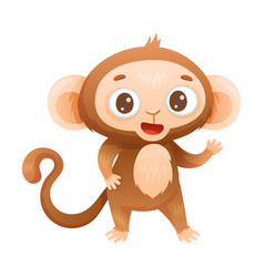 Funny Brown Monkey With Prehensile Tail Standing