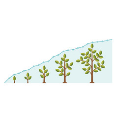 Tree Growth Speed Line Graph Infographic Chart