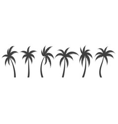 Black Palm Trees