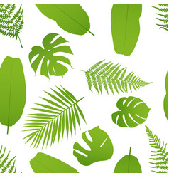 fern vector images over 4 400