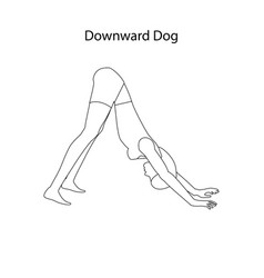 Downward Dog Yoga Workout Outline Healthy