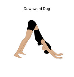 Downward Dog Yoga Workout Silhouette Healthy