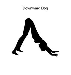 Downward Dog Yoga Workout Healthy Lifestyle