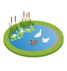 Isometric Lake With Ducks Isolated On Wrhite City