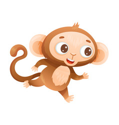 Funny Brown Monkey With Prehensile Tail Running