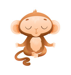 Funny Brown Monkey With Prehensile Tail Meditating