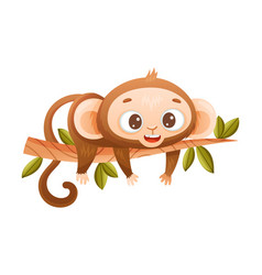 Funny Brown Monkey With Prehensile Tail Lying