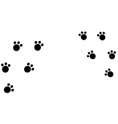 Paw Prints Isolated On White Background