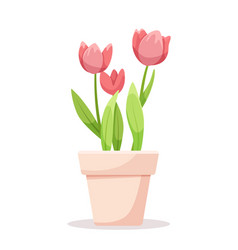 Pink Tulips In A Clay Pot