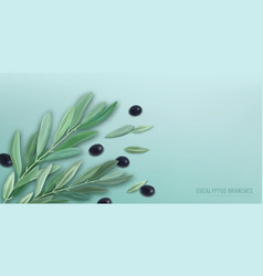 Realistic Eucalyptus Background