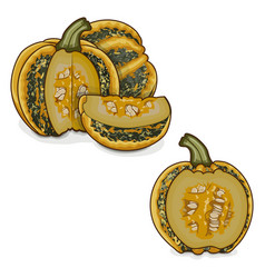 Whole And Chopped American Tonda Pumpkin Clipart