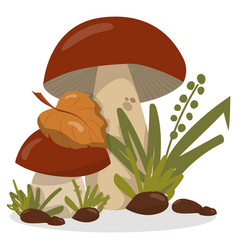 Two Cartoon Mushrooms With A Brown Cap