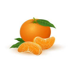 Mandarin Segments