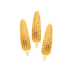 Roasted Corn Image