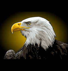 White Neck Eagle Template