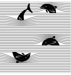 Dolphin Pattern