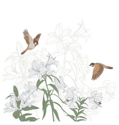 Drawing Flowers And Birds