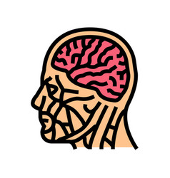 Head Brain Human Color Icon