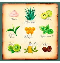 Set Of Natural Cosmetics Ingredients