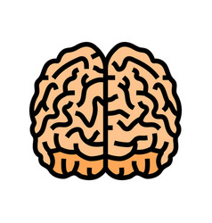 Brain Human Color Icon