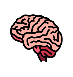 Human Brain Color Icon