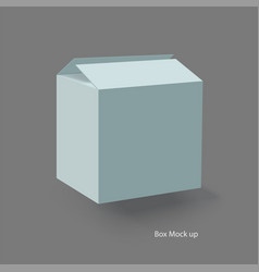 Box Mockup 14