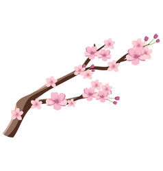 Japanese Cherry Blossom Graphic